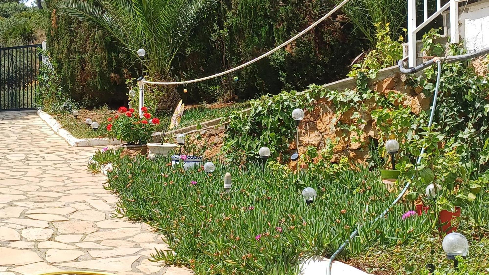Ferienwohnung Mit Privat-Pool Alcoceber Ngoại thất bức ảnh