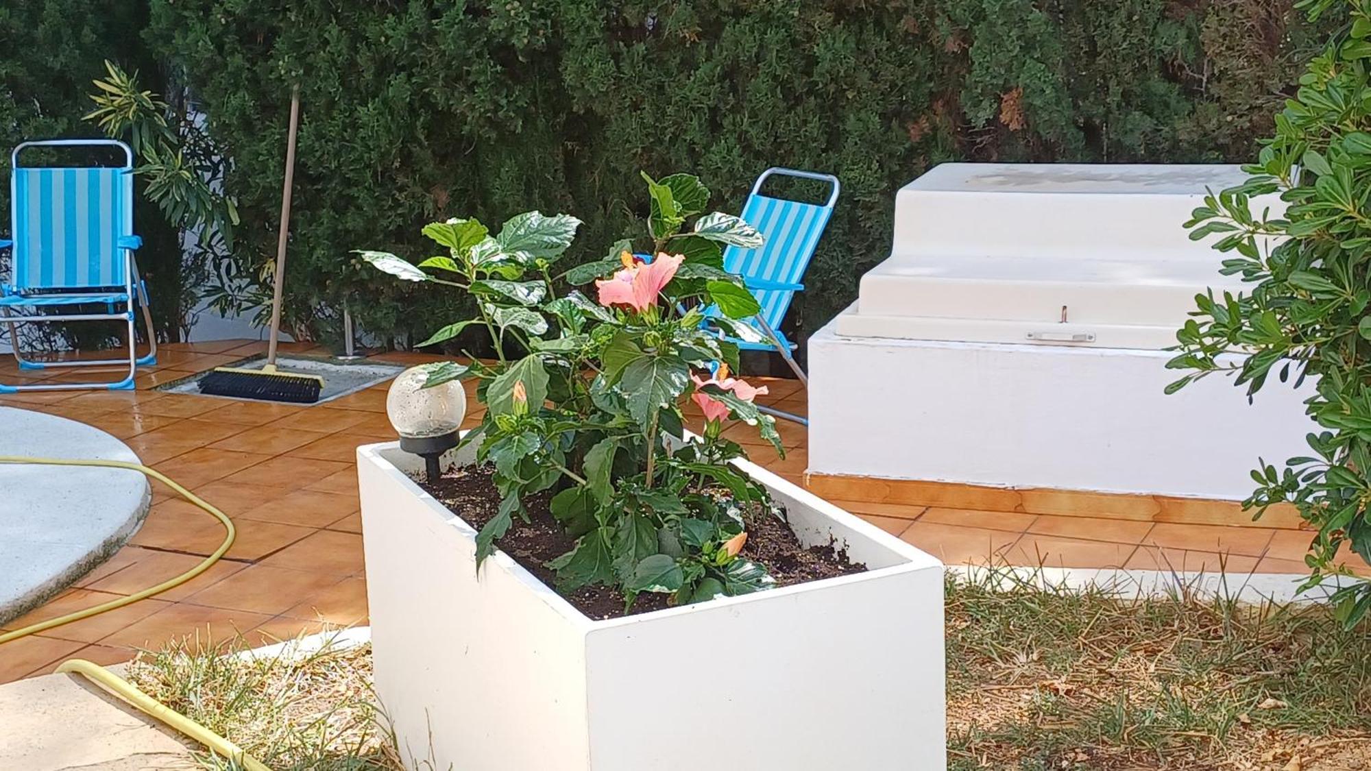Ferienwohnung Mit Privat-Pool Alcoceber Ngoại thất bức ảnh